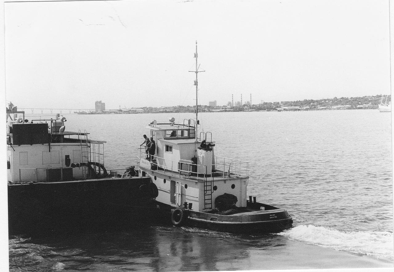 Zuliano 5