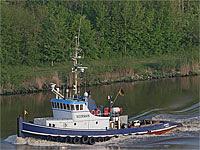 Louise Van Der Wees