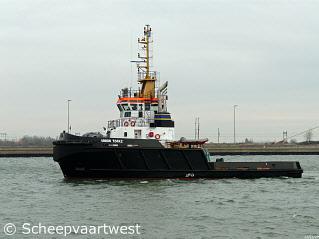 Union Topaz