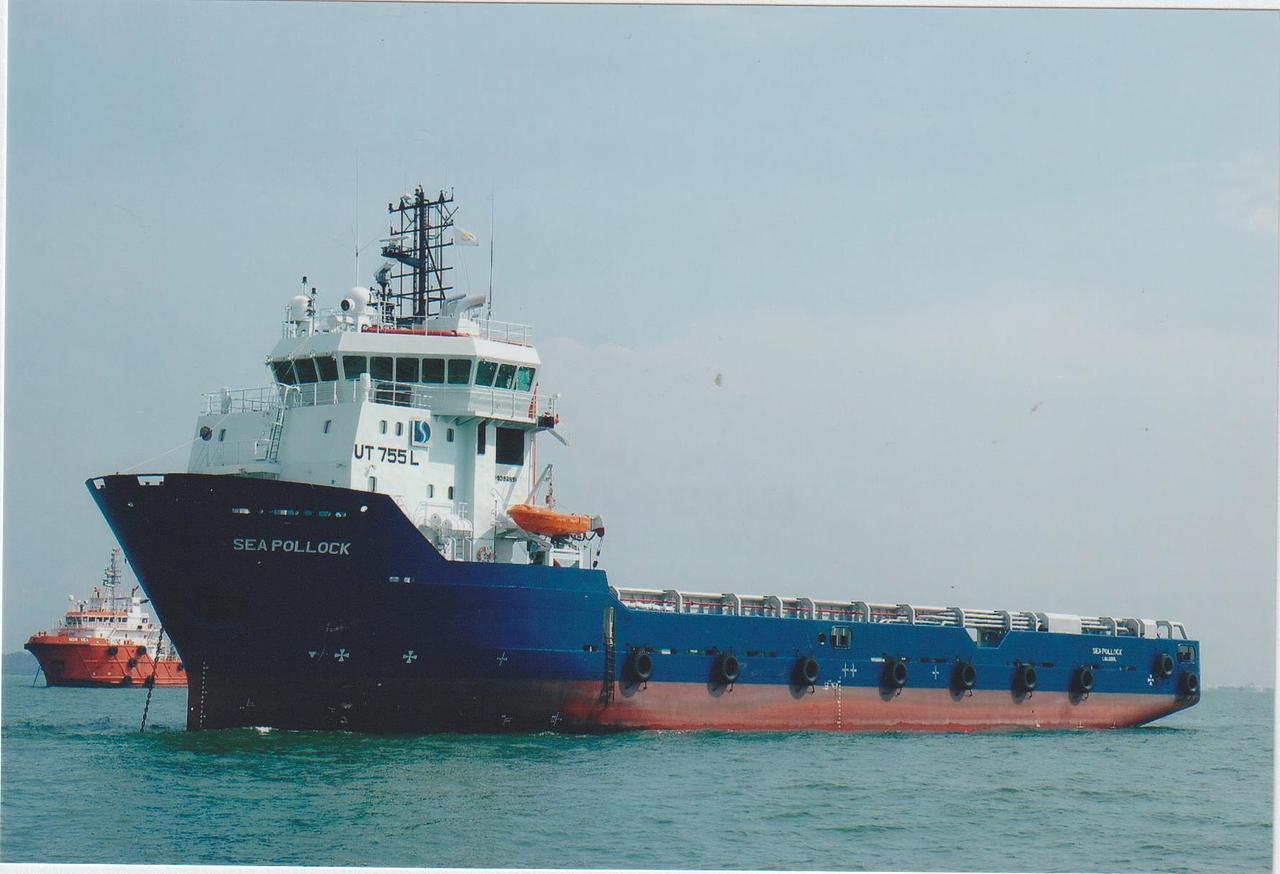 Sea Pollack