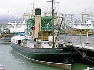 Hokie Maru I