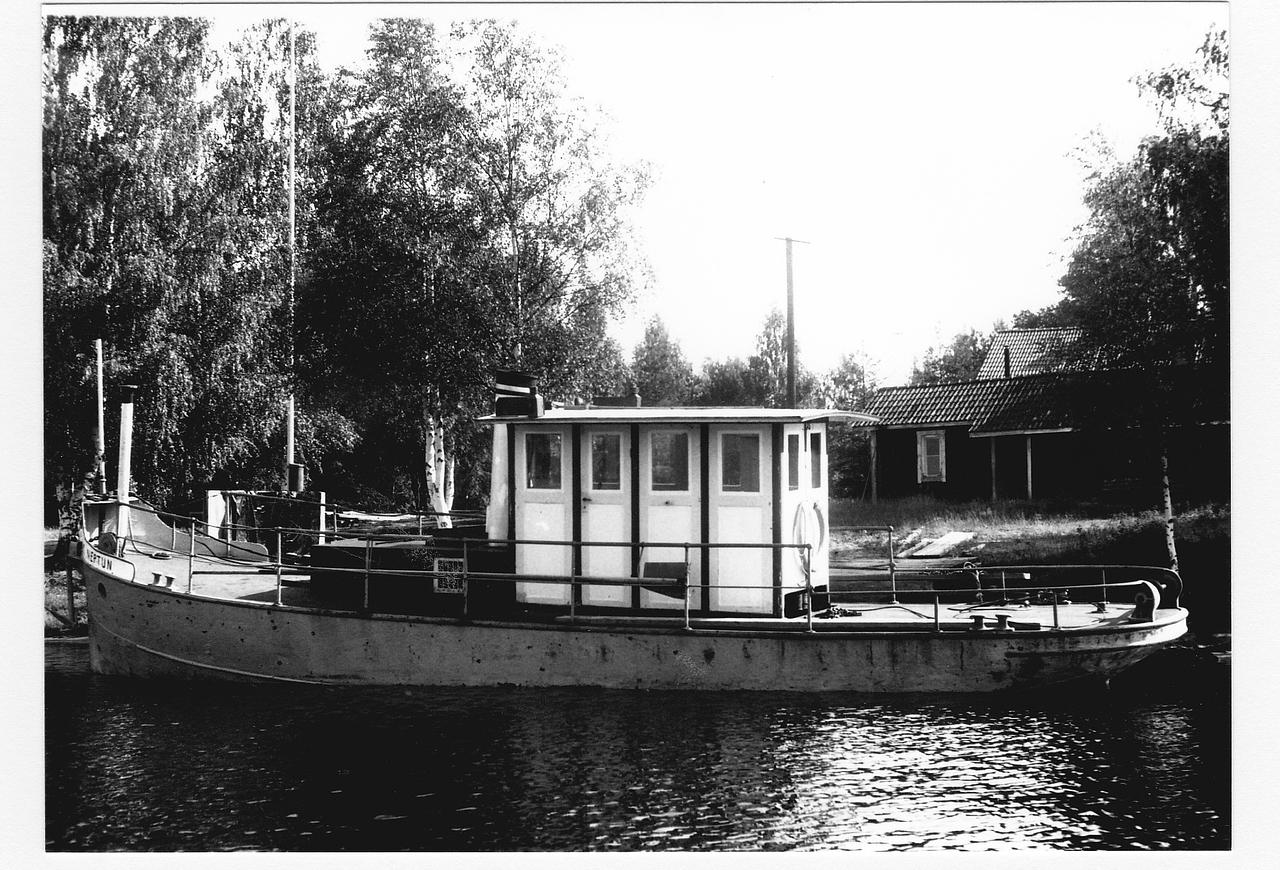 Neptun
