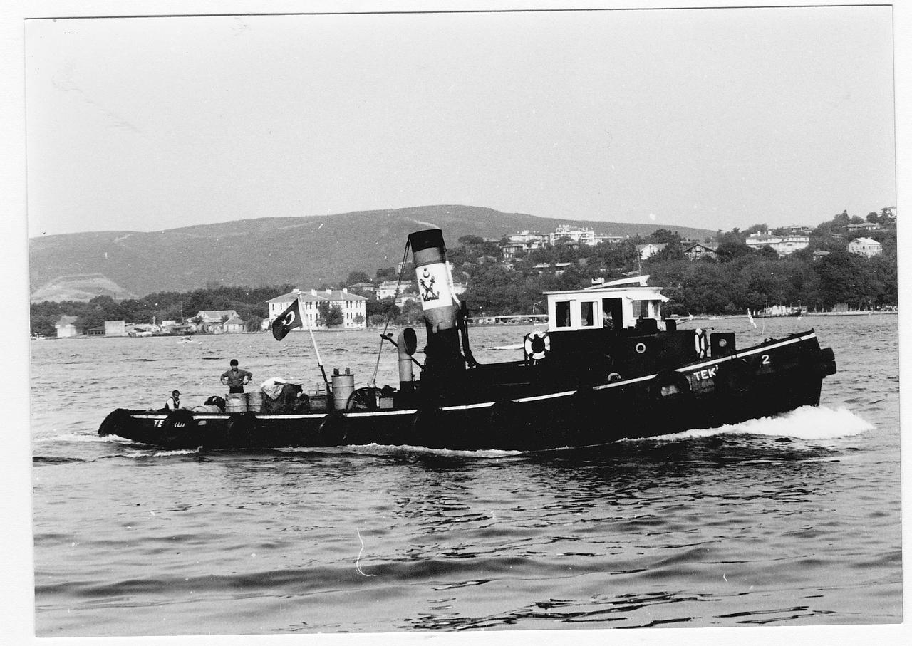Frederika VII