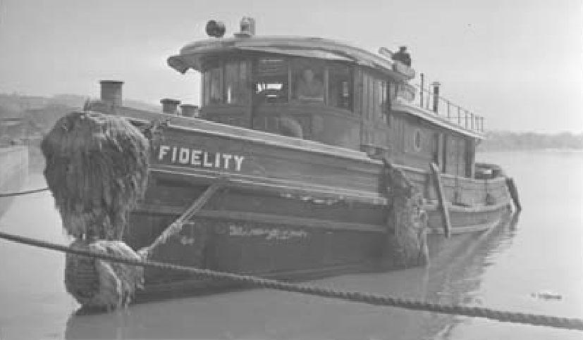 Fidelity