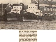 Dominique