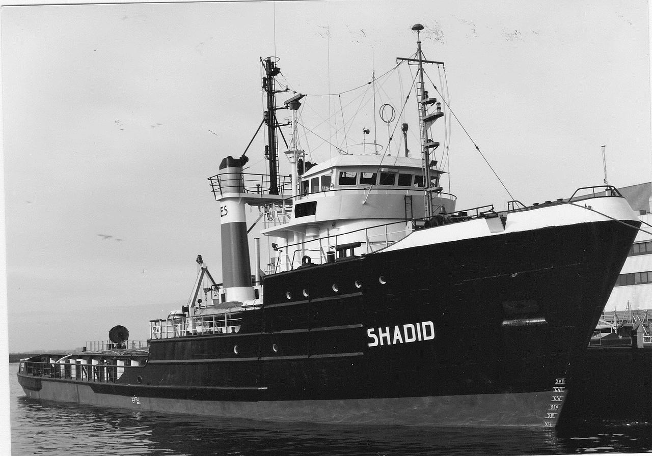 Shadid
