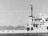 Pacific Lion