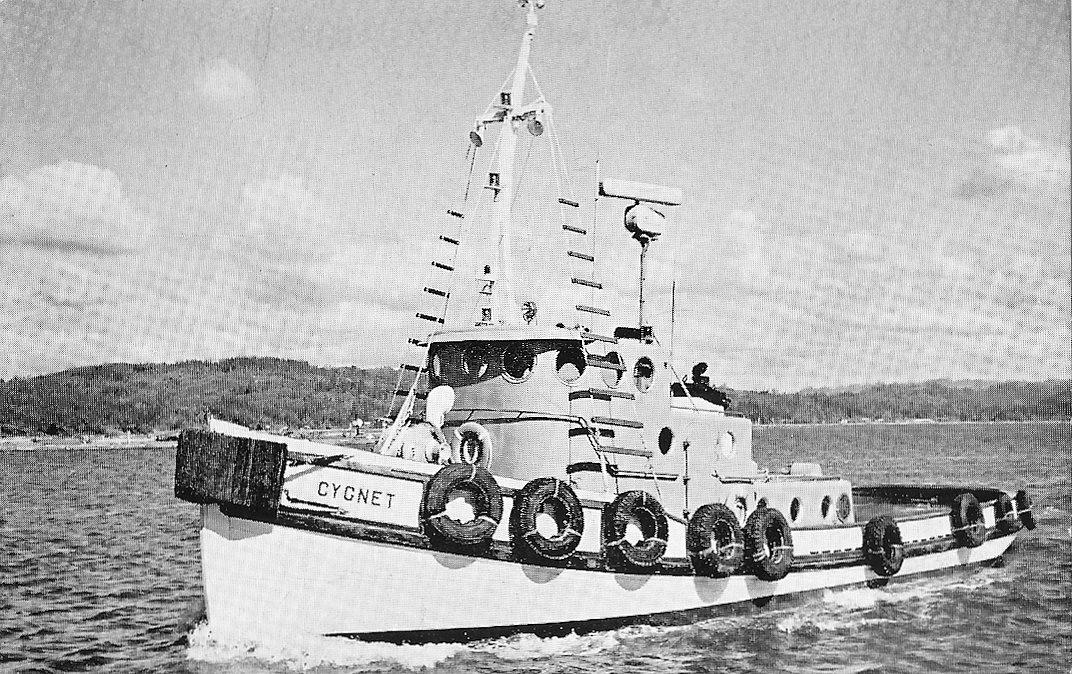 Cygnet