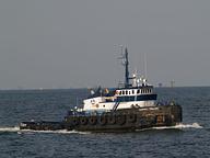 Signet Trojan