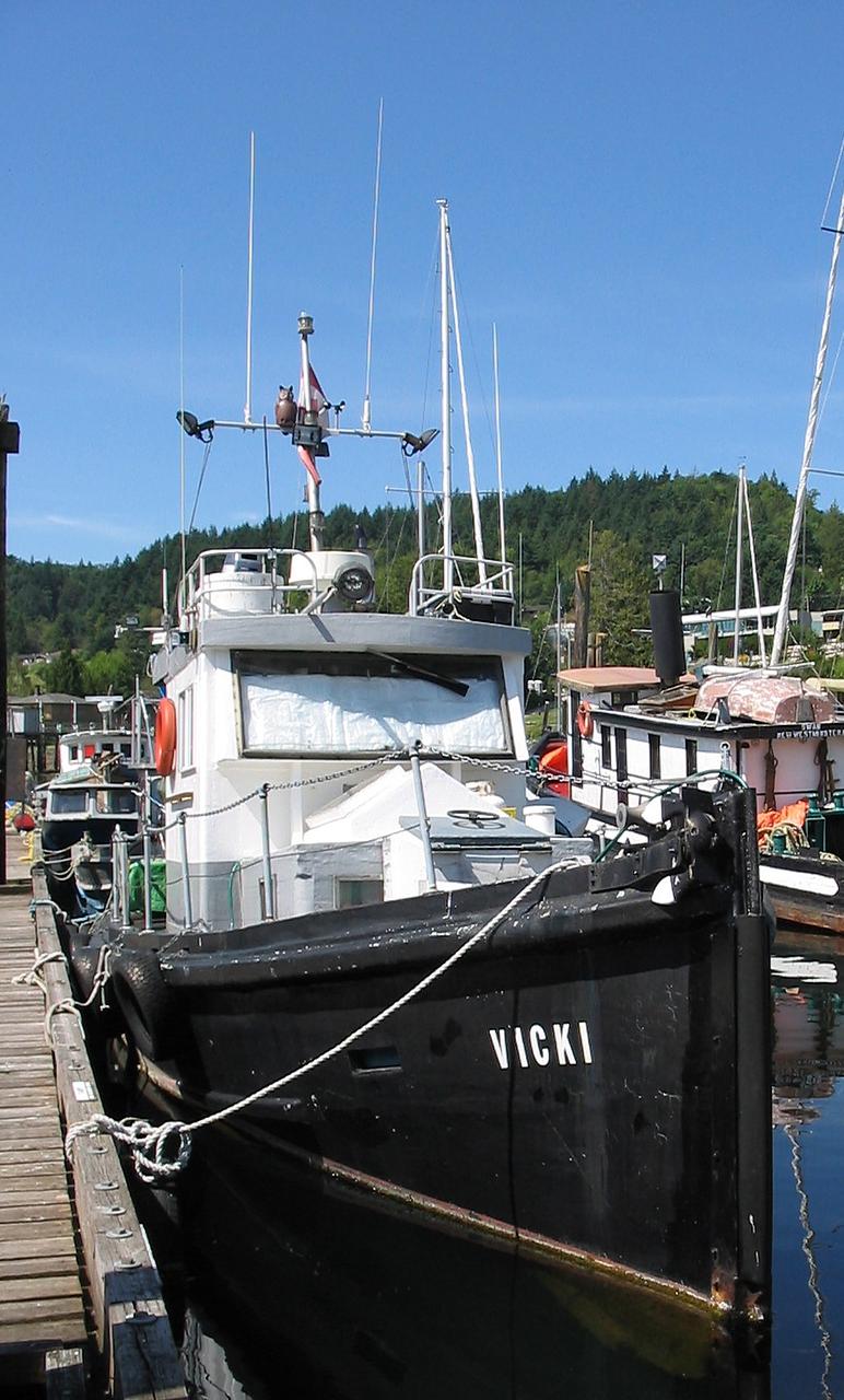Vicki (1)