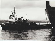 Skeena Coast