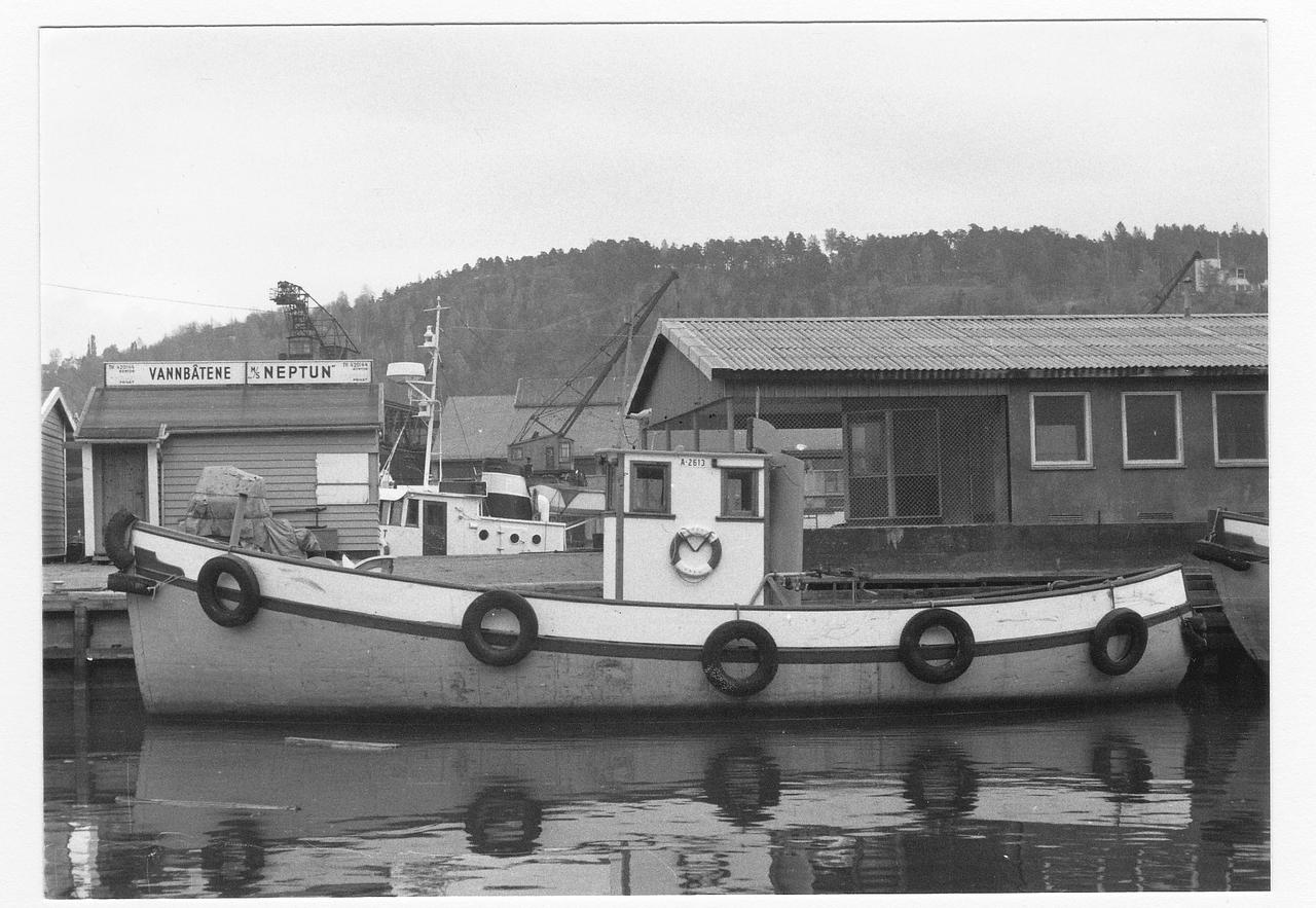 Neptun III