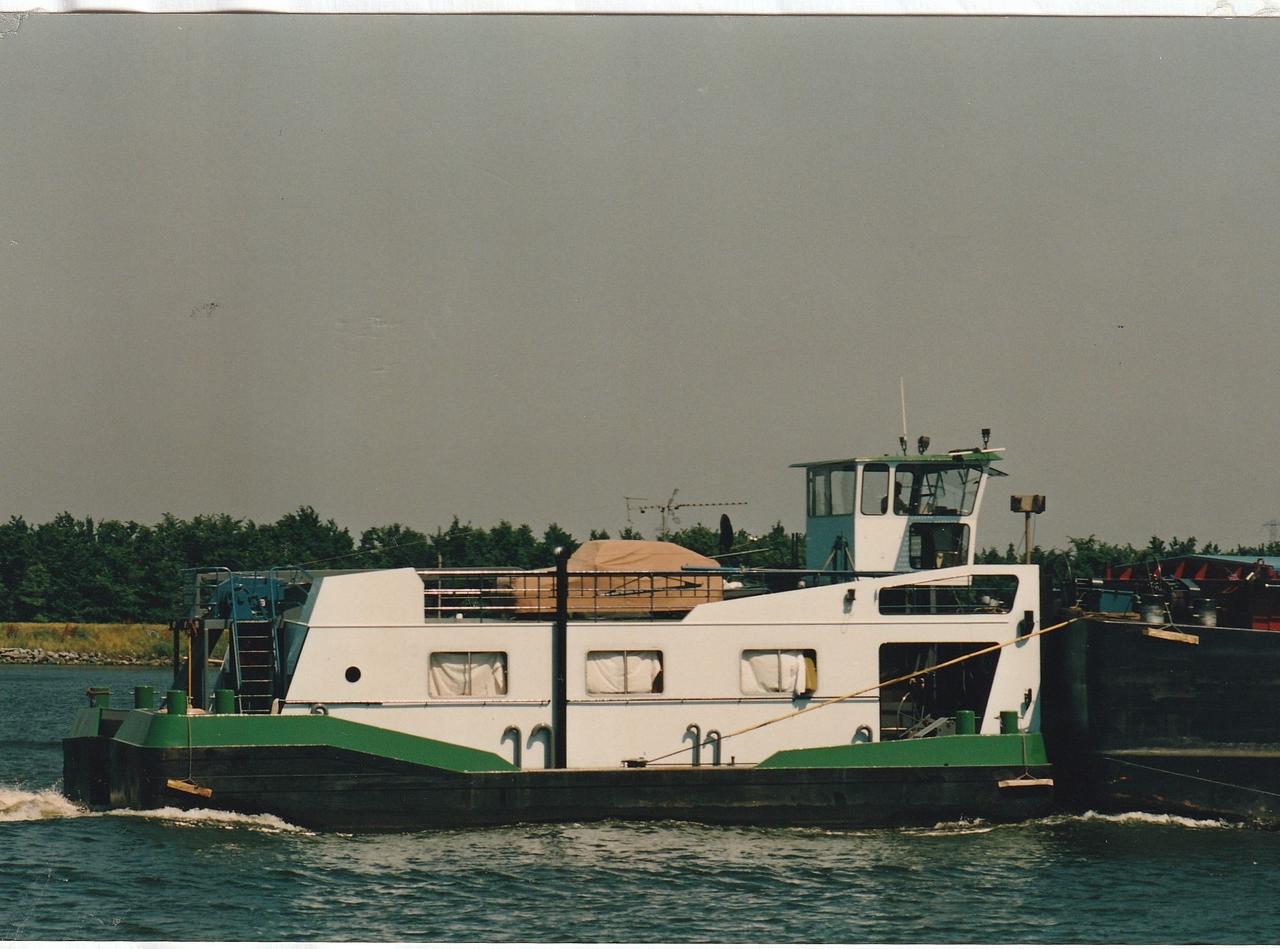 Veerle