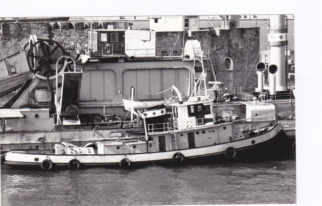 Bari