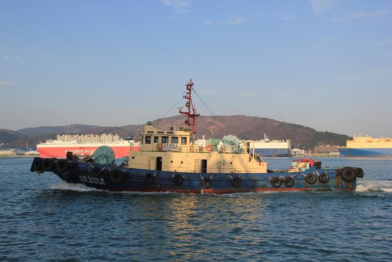  Sun Jin No. 505