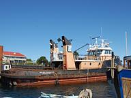 Pacific Ranger II