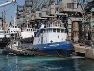 Captain Dimitris