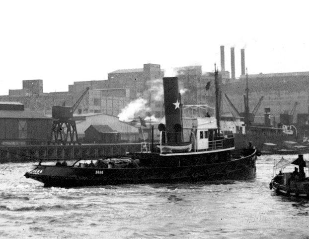 Regulus