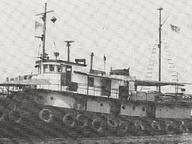 Cayuse