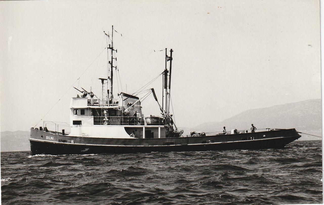 Silni