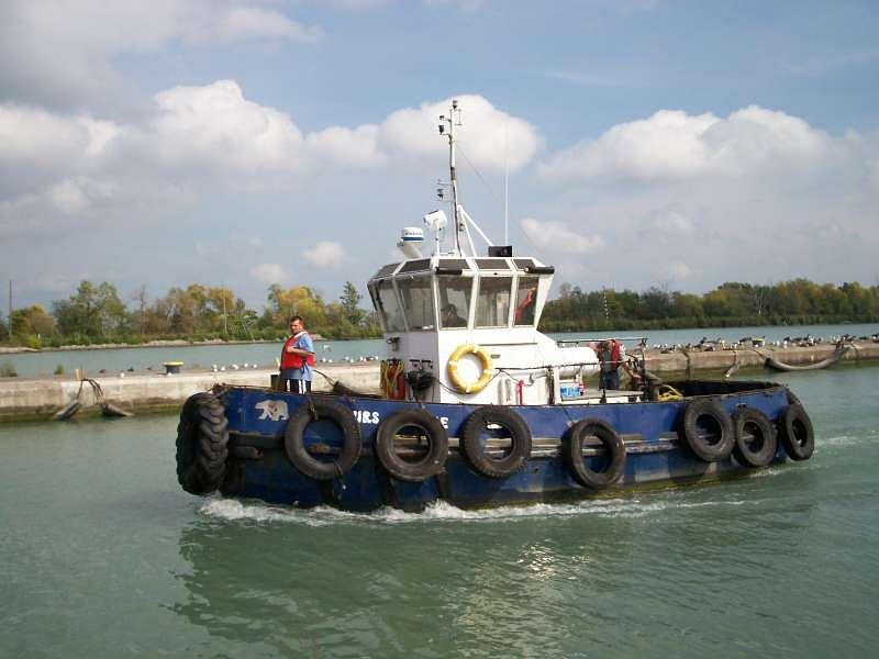 Ours Polaire