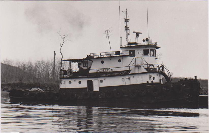Dixie Pirate