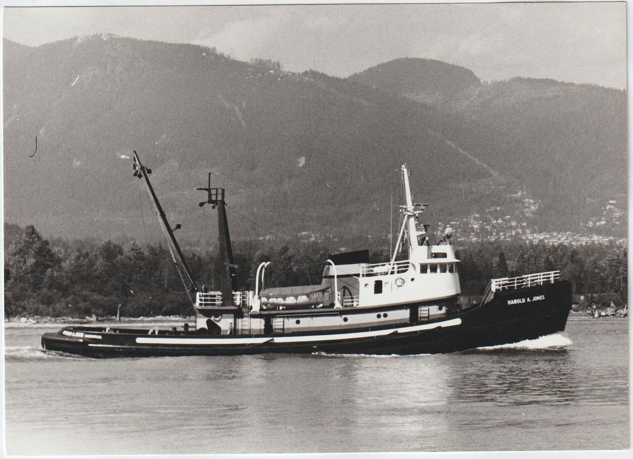 Island Monarch (II)