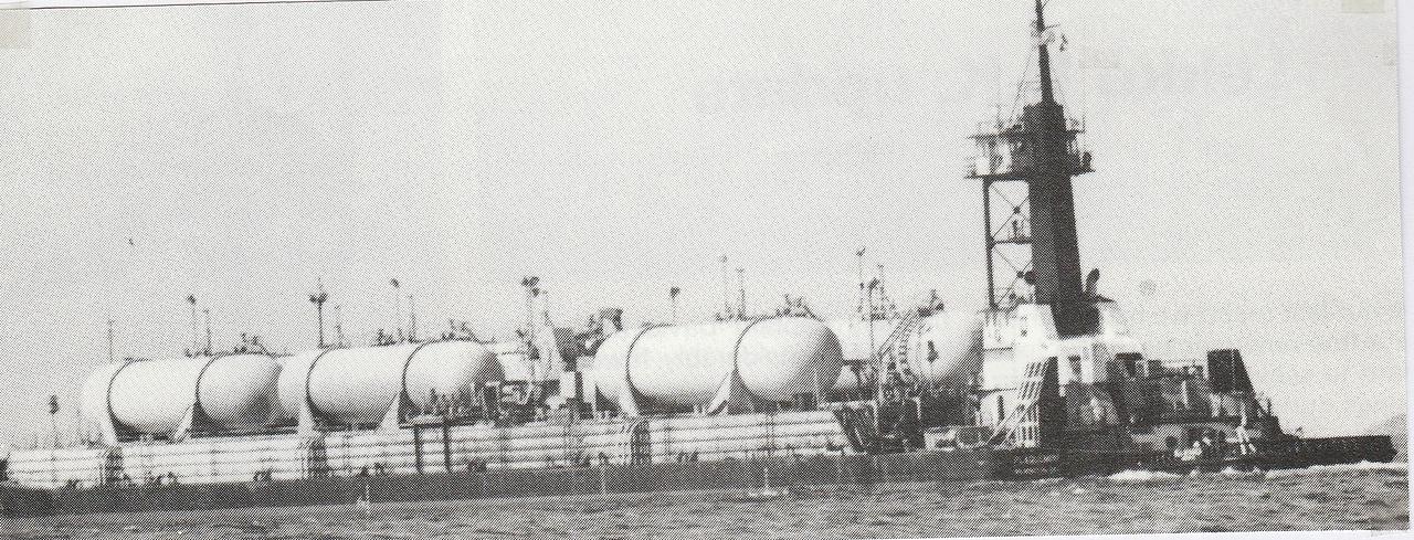 Sea Raven