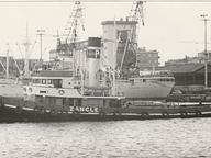 Picchio