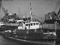 Point Viking