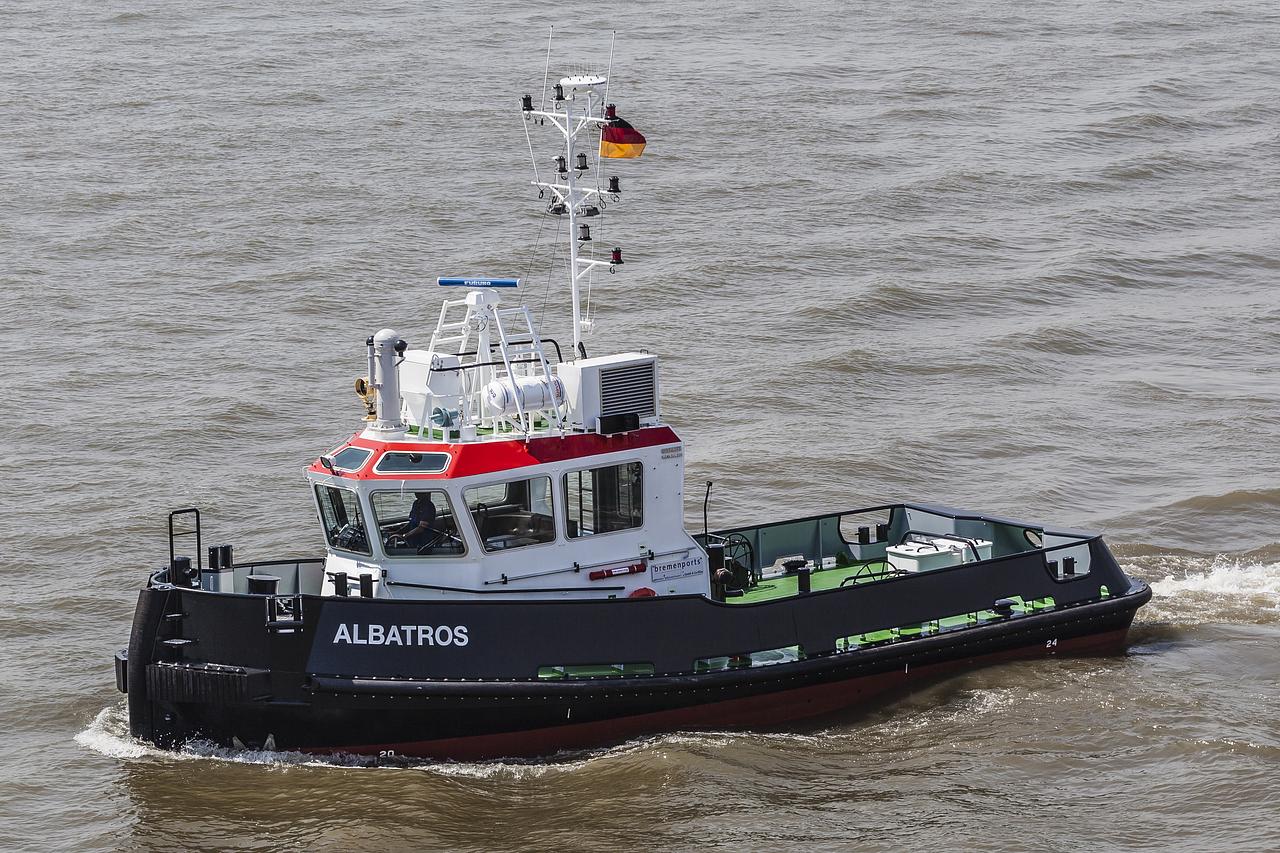 Albatros