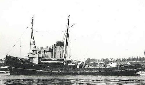 Irving Tamarack