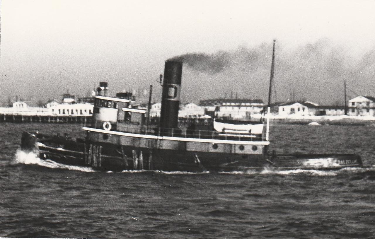 Dalzelline