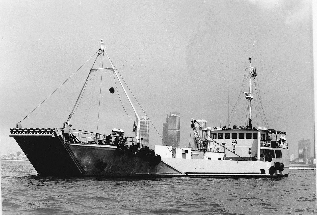 Normelia