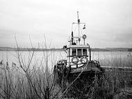 Lill-Dagmar